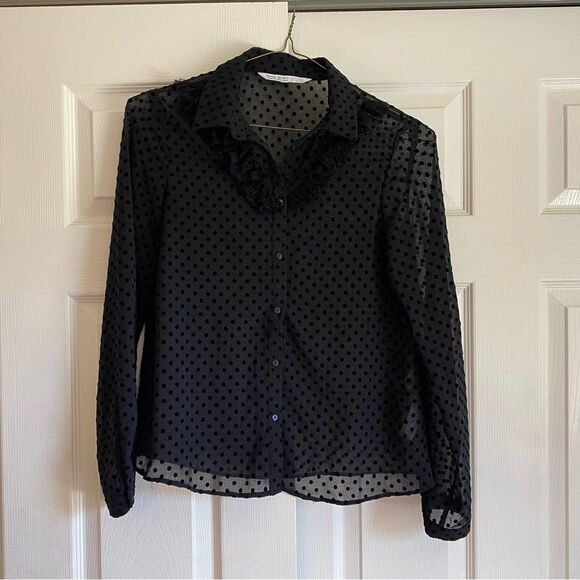 Zara Size Small Sheer Polka Dot Feather Long Sleeve Button down academic grunge - Picture 1 of 8